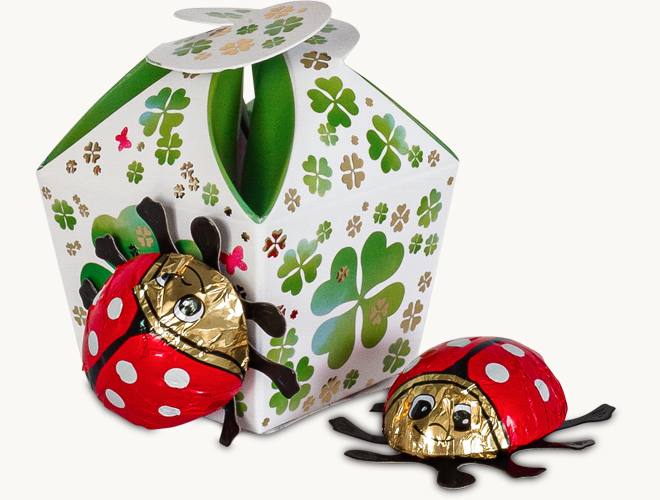 Mini Box Glück mit 2 Schoko-Käfer
